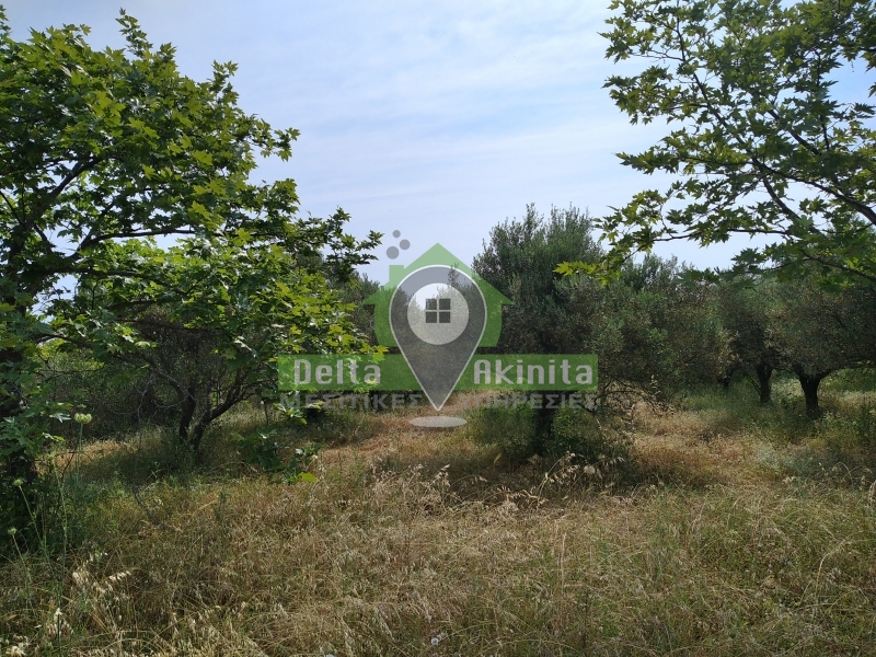 property-img